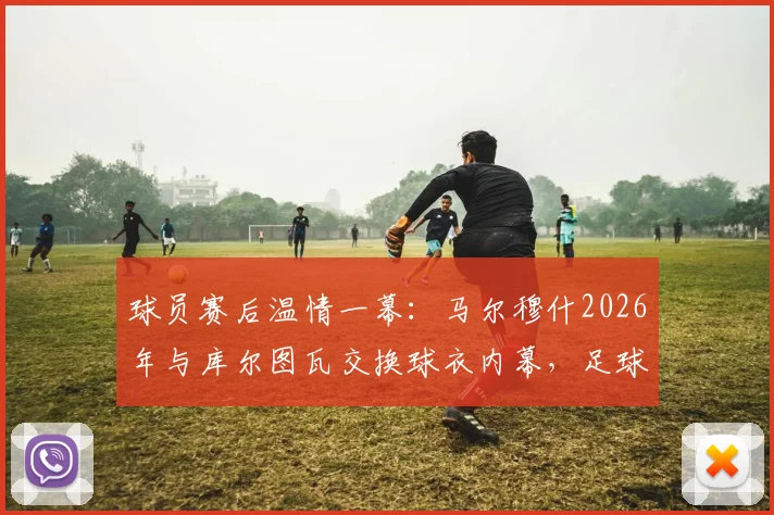 球员赛后温情一幕：马尔穆什2026年与库尔图瓦交换球衣内幕，足球友谊与场上礼仪全解析