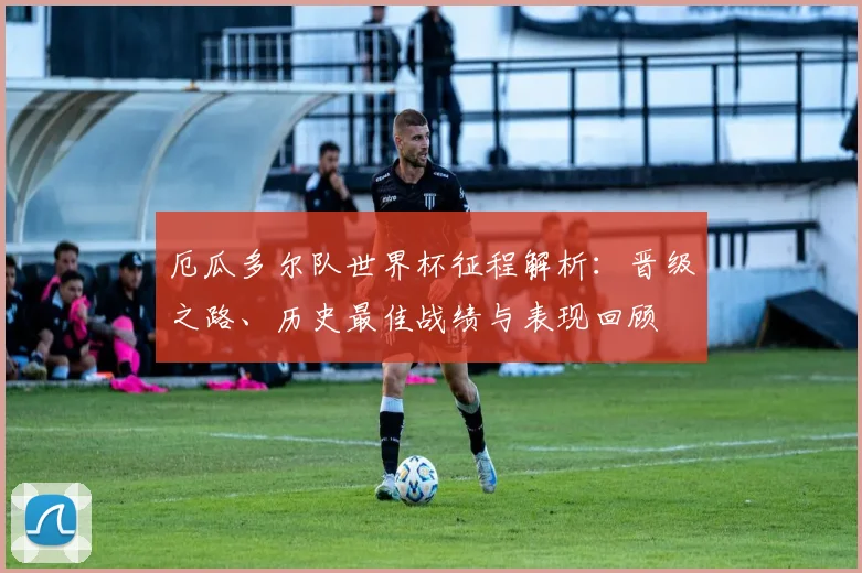 厄瓜多尔队世界杯征程解析:晋级之路、历史最佳战绩与表现回顾