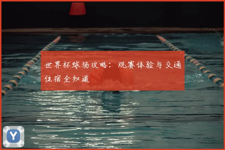 世界杯球场攻略：观赛体验与交通住宿全知道