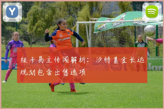 纽卡易主传闻解析：沙特基金长远规划包含出售选项
